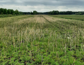 Rolny na sprzedaż, Kłobucki Miedźno Ostrowy Nad Okszą, 200 000 zł, 8609 m2, MEG-GS-8707