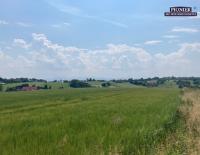 Rolny na sprzedaż, Cieszyński Hażlach Zamarski, 840 000 zł, 70 000 m2, PEU-GS-7418