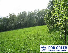 Rolny na sprzedaż, Bielski Buczkowice, 480 000 zł, 3272 m2, ORL-GS-2585