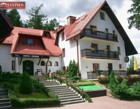 Dom na sprzedaż, Karkonoski Karpacz Skalne, 7 500 000 zł, 4000 m2, DS-25191-3