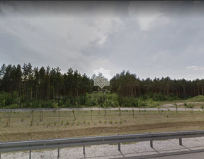 Leśne na sprzedaż, Aleksandrowski (pow.) Aleksandrów Kujawski (gm.) Kuczek, 400 000 zł, 14 696 m2, 11/SHE/OGS-79