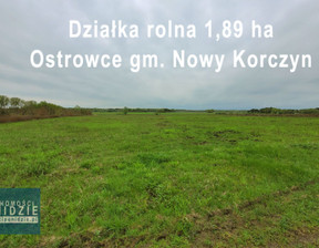 Rolny na sprzedaż, Buski (Pow.) Nowy Korczyn (Gm.) Ostrowce, 75 000 zł, 18 900 m2, 28