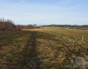 Działka na sprzedaż, Kielecki (pow.) Górno (gm.) Radlin, 300 000 zł, 9052 m2, 499