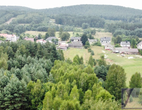 Dom na sprzedaż, Kielecki (Pow.) Raków (Gm.) Nowa Huta, 190 000 zł, 80 m2, 523