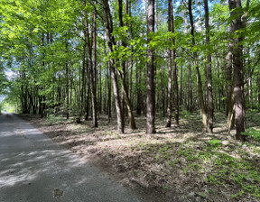 Budowlany na sprzedaż, Grodziski Żabia Wola Grzymek Śródleśna, 280 000 zł, 2000 m2, 230315585