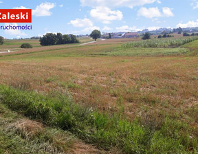 Budowlany na sprzedaż, Kartuski Przodkowo Szarłata Sianowska, 900 000 zł, 10 000 m2, ZA014401