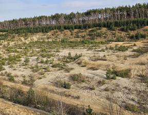 Działka na sprzedaż, Sieradzki (Pow.) Burzenin (Gm.) Burzenin, 1 850 000 zł, 104 000 m2, 31