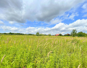 Handlowo-usługowy na sprzedaż, Wrocławski (pow.) Długołęka (gm.) Bielawa Zawilcowa, 1 900 000 zł, 13 026 m2, 43691/3877/OGS