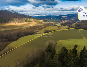 Działka na sprzedaż, Kłodzki Kłodzko Żelazno, 9 000 000 zł, 516 778 m2, 41424/3877/OGS