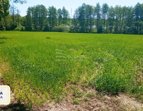 Działka na sprzedaż, Lubelski Jastków, 1 950 000 zł, 13 000 m2, 44992/3877/OGS