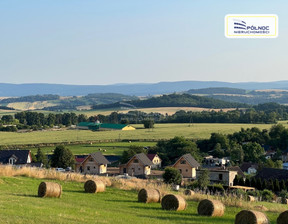 Działka na sprzedaż, Kłodzki Nowa Ruda Bożków, 300 000 zł, 10 600 m2, 45264/3877/OGS