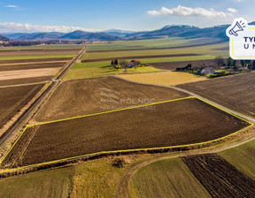 Rolny na sprzedaż, Kłodzki Kłodzko Żelazno, 73 000 zł, 7300 m2, 41658/3877/OGS