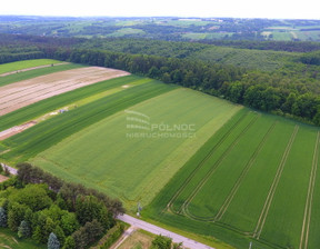 Rolny na sprzedaż, Krakowski Iwanowice Zagaje, 550 000 zł, 18 220 m2, 43458/3877/OGS