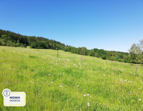 Działka na sprzedaż, Karkonoski Jeżów Sudecki Chrośnica, 830 000 zł, 120 427 m2, 44313/3877/OGS