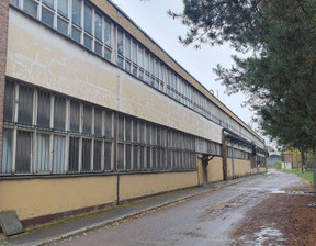Fabryka, zakład do wynajęcia, Gliwice Łabędy, 14 000 zł, 1000 m2, 68590941