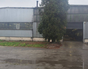 Fabryka, zakład do wynajęcia, Gliwice Łabędy, 9000 zł, 500 m2, 68570941