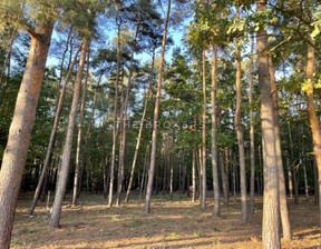 Działka na sprzedaż, Piaseczyński Konstancin-Jeziorna Chylice, 1 242 000 zł, 1656 m2, 650991