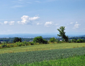 Działka na sprzedaż, Krakowski Zielonki Bibice, 7 875 000 zł, 17 440 m2, PAC-GS-7750