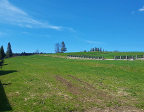 Działka na sprzedaż, Nowotarski Czarny Dunajec Ratułów, 330 000 zł, 3150 m2, 60