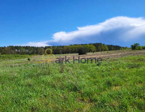 Działka na sprzedaż, Trzciel, 2 500 000 zł, 15 100 m2, 574213