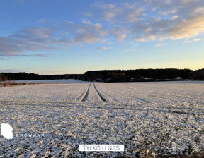 Działka na sprzedaż, Szamotulski Pniewy Nojewo, 115 000 zł, 10 101 m2, 585/4405/OGS