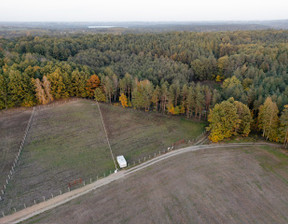 Działka na sprzedaż, Rypiński (Pow.) Rogowo (Gm.) Huta-Chojno, 250 000 zł, 8200 m2, 1100