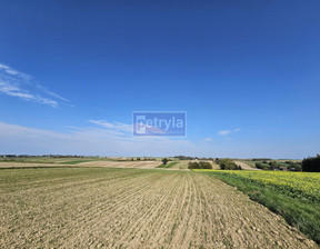 Rolny na sprzedaż, Krakowski Skała Szczodrkowice, 400 000 zł, 5300 m2, 32358