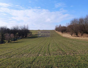 Rolny na sprzedaż, Krakowski Wielka Wieś Wierzchowie, 427 000 zł, 6100 m2, 32060
