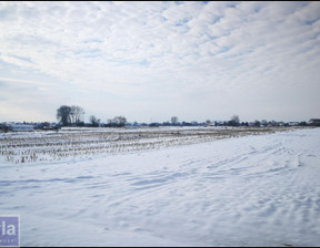 Działka na sprzedaż, Krakowski Igołomia-Wawrzeńczyce Igołomia, 300 000 zł, 3500 m2, 32400