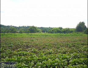 Budowlany na sprzedaż, Krakowski Michałowice, 500 000 zł, 1600 m2, 32440