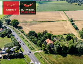 Rolny na sprzedaż, Nowodworski Stegna Tujsk, 599 000 zł, 10 000 m2, PH151734