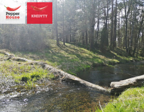 Działka na sprzedaż, Starogardzki Osieczna Zimne Zdroje, 335 000 zł, 13 218 m2, PH273876