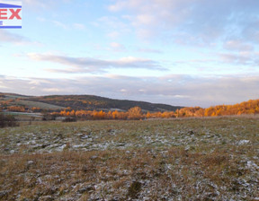 Działka na sprzedaż, Gorlicki (Pow.) Sękowa (Gm.) Wapienne, 150 000 zł, 9700 m2, 42577