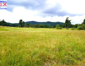 Działka na sprzedaż, Gorlicki (pow.) Uście Gorlickie (gm.) Wysowa-Zdrój, 120 000 zł, 994 m2, 42574