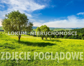Działka na sprzedaż, Cieszyński Zebrzydowice Zebrzydowice Dolne, 113 000 zł, 1000 m2, LOK-GS-7205