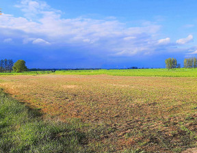 Budowlany na sprzedaż, Kamieński Kamień Pomorski Chrząszczewo, 179 000 zł, 956 m2, ZUPA306280-306366