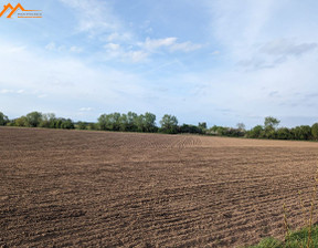 Działka na sprzedaż, Obornicki Oborniki Podlesie Podlesie, 118 000 zł, 12 500 m2, ABWH306227-306340