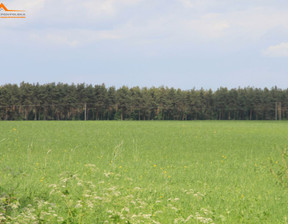 Działka na sprzedaż, Obornicki Oborniki Kiszewo, 449 000 zł, 15 000 m2, DAW305928-306330