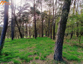 Leśne na sprzedaż, Czarnkowsko-Trzcianecki Wieleń Biała Białą, 98 000 zł, 8250 m2, WLKP2306319-306319