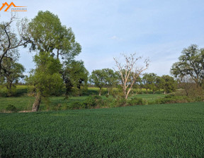 Działka na sprzedaż, Obornicki Rogoźno Międzylesie Międzylesie, 259 000 zł, 23 000 m2, ABWH306286-306313