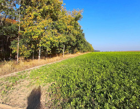 Działka na sprzedaż, Szamotulski Kaźmierz, 189 000 zł, 800 m2, ZUPA306315-306383