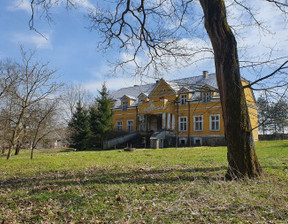 Dom na sprzedaż, Koszaliński Bobolice Bobolice Okolica, 1 600 000 zł, 670 m2, OFN306844-306844