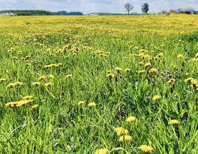 Działka na sprzedaż, Gryficki Gryfice Gryfice Okolica, 102 000 zł, 1226 m2, FER2025306496-306496