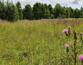 Rolny na sprzedaż, Gryficki Gryfice Gryfice Okolica, 156 000 zł, 1500 m2, lut25306480-306480