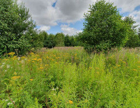 Działka na sprzedaż, Gryficki Gryfice Gryfice Okolica, 156 000 zł, 1500 m2, WRZ092024306169-306169