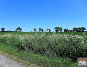 Działka na sprzedaż, Gryficki Gryfice Gryfice Okolica, 95 000 zł, 2600 m2, WRZ092024306178-306178