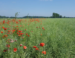 Działka na sprzedaż, Gryficki Trzebiatów Trzebiatów Okolica, 166 000 zł, 2316 m2, FER2025306472-306472