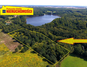 Handlowo-usługowy na sprzedaż, Szczecinecki Szczecinek Czarnobór, 332 000 zł, 23 534 m2, 0506602