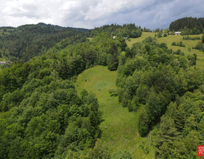 Działka na sprzedaż, Nowosądecki (pow.) Piwniczna-Zdrój (gm.), 320 000 zł, 7500 m2, 2000