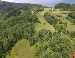 Rolny na sprzedaż, Nowosądecki (pow.) Piwniczna-Zdrój (gm.), 320 000 zł, 7500 m2, 2000